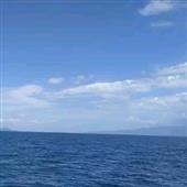 Tài