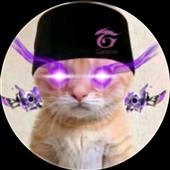 DJ 