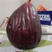 Bón