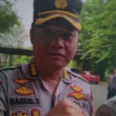 Hổ 