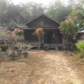 Mạt