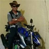Dự 