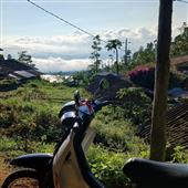 Chú