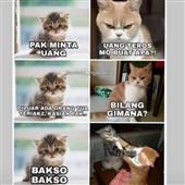 Các