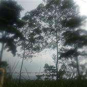 PHÚ
