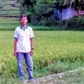 Đại