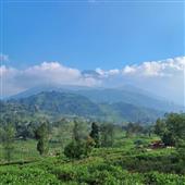 Kho