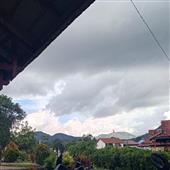 Quy