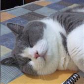 Tỷ 