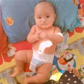 Giả
