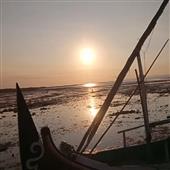 Bản