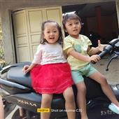 Cỏ 